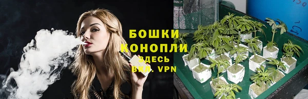стаф Вязники